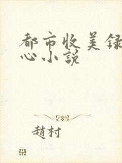 都市收美录宁素心小说