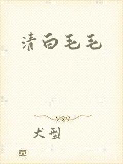 清白毛毛