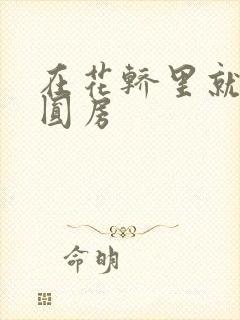 在花轿里就开始圆房