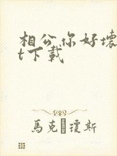 相公你好坏txt下载