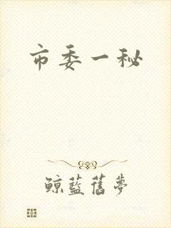市委一秘