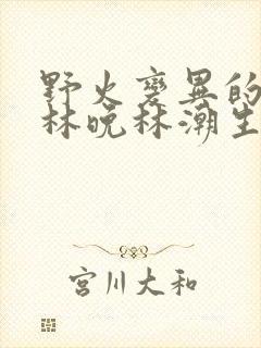 野火变异的父爱林晚林潮生