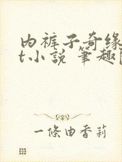 内裤子奇缘txt小说 笔趣阁