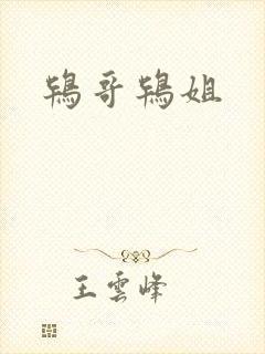 鸨哥鸨姐