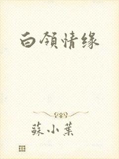 白领情缘