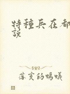 特种兵在都市小说