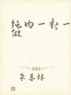 纯肉一对一到处做