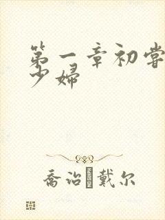 第一章初尝极品少妇