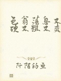 色翁荡息又大又硬又粗又爽小莹