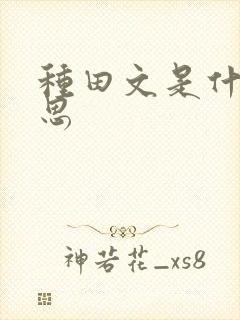 种田文是什么意思