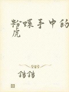 粉蝶手中的纸老虎