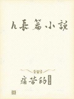 h长篇小说