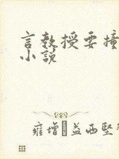 言教授要撞坏了小说