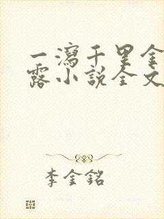 一泻千里金银花露小说全文免费阅读