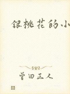 银桃花的小说