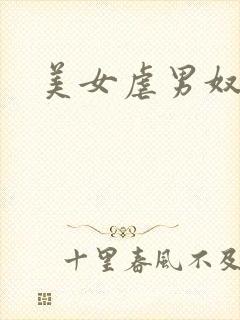 美女虐男奴封面