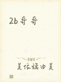 2b哥哥