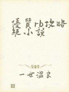 优质rb攻略系统小说