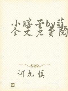 小瞎子by苏软全文免费阅读