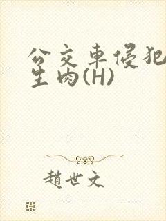 公交车侵犯小男生肉(H)