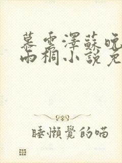 慕云泽苏晚晴夏雨桐小说免费阅读