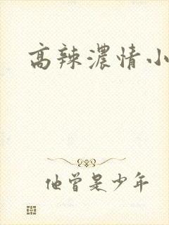 高辣浓情小说