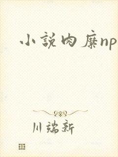 小说肉糜np