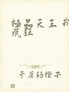 极品天王 我本疯狂