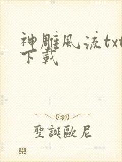 神雕风流txt下载