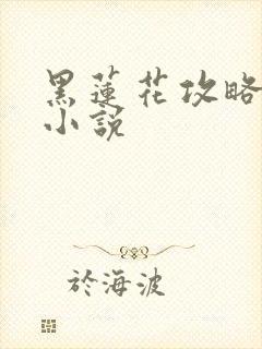 黑莲花攻略手册小说