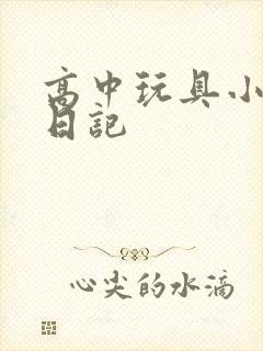 高中玩具小诗的日记