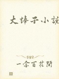 大棒子小说