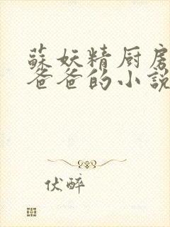 苏妖精厨房爹爹爸爸的小说