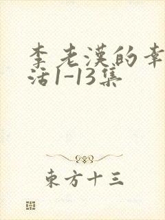 李老汉的幸福生活1-13集