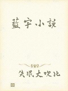 蓝宇小说