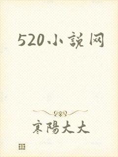 520小说网