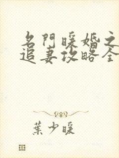 名门暖婚之权爷追妻攻略全文免费阅读