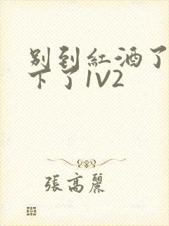 别到红酒了装不下了1V2