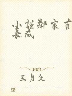 小说邻家有女初长成封面