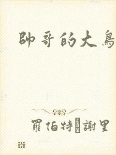 帅哥的大鸟