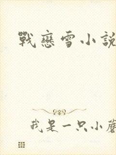 战恋雪小说