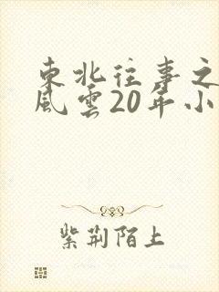 东北往事之黑道风云20年小说