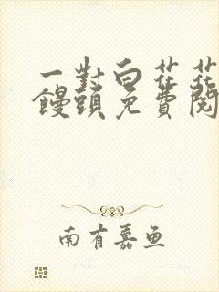 一对白花花的大馒头免费阅读