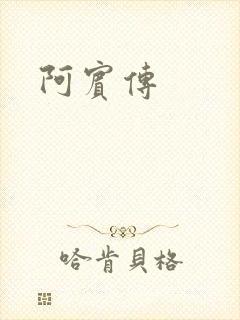 阿宾传