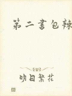 第二书包辣文