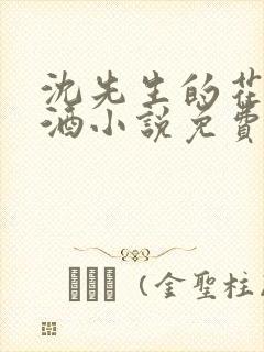 沈先生的花式调酒小说免费阅读