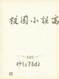 校园小说高h