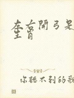 左右开弓是什么生肖