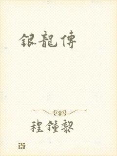 银龙传封面