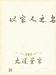 以家人之名小说